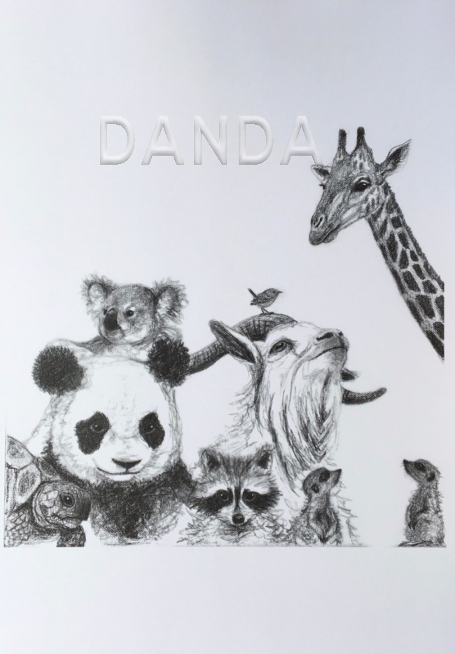 Alexandra Hesselmann Shop - Panda, Koala und Co