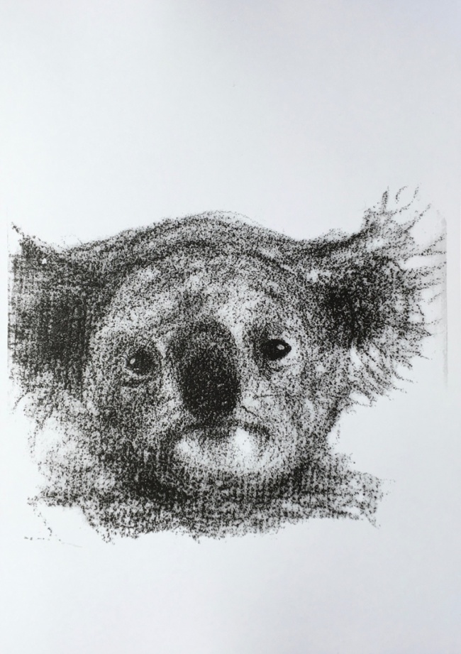 Alexandra Hesselmann Shop - Koala Porträt