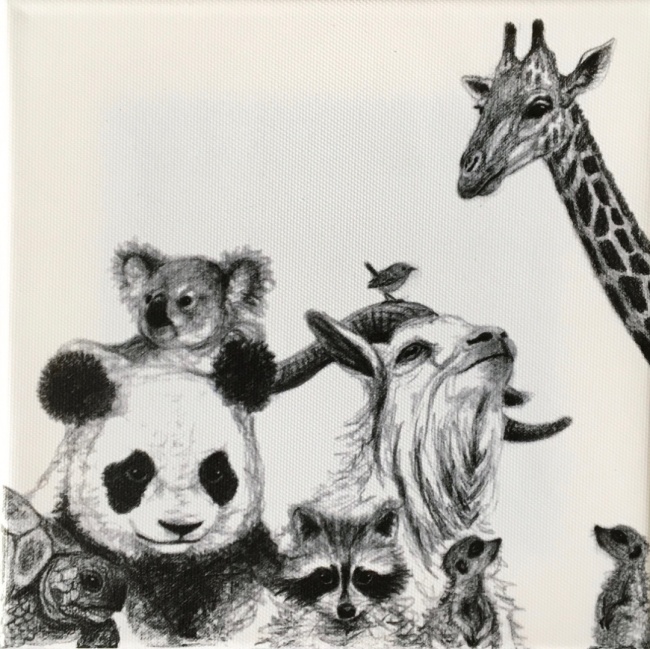 Panda Und Co Panda Und Co