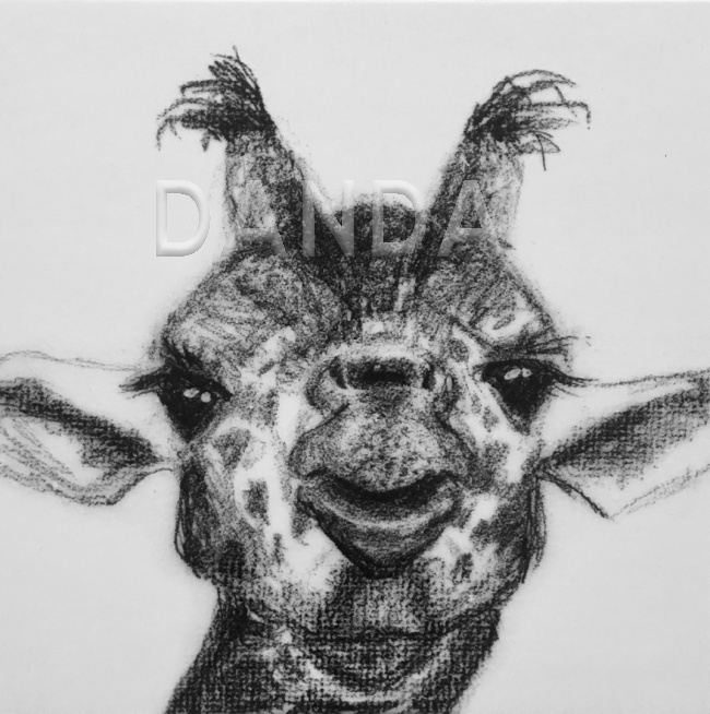 Alexandra Hesselmann Shop - Giraffe mit Krafttierbedeutung