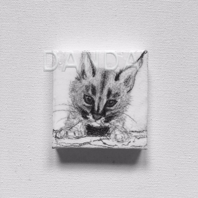 Alexandra Hesselmann Shop - kleiner Luchs