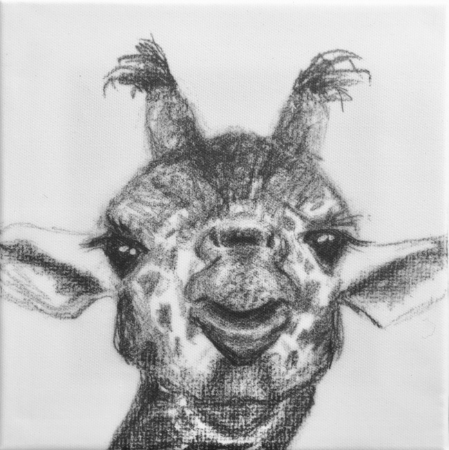Alexandra Hesselmann Shop - neugierige Giraffe