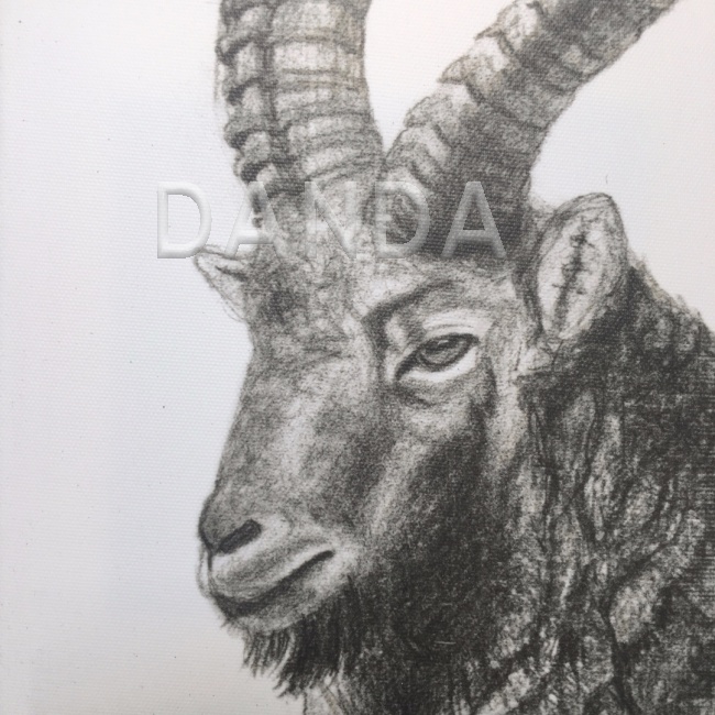 Alexandra Hesselmann Shop - Steinbock 20 x 20 cm