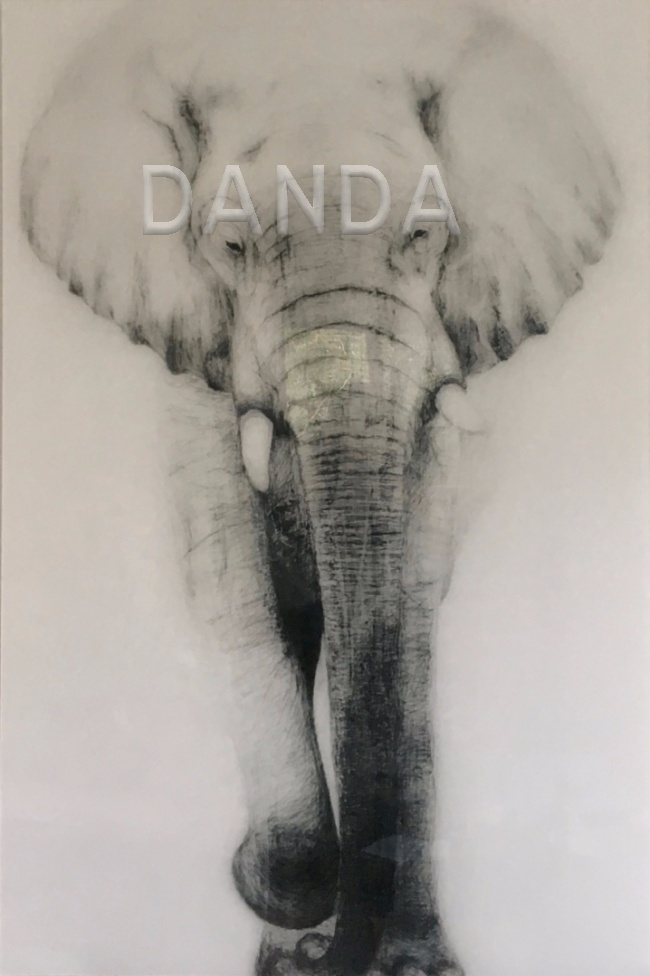 Alexandra Hesselmann Shop - stiller Elefant 80 x 120 cm
