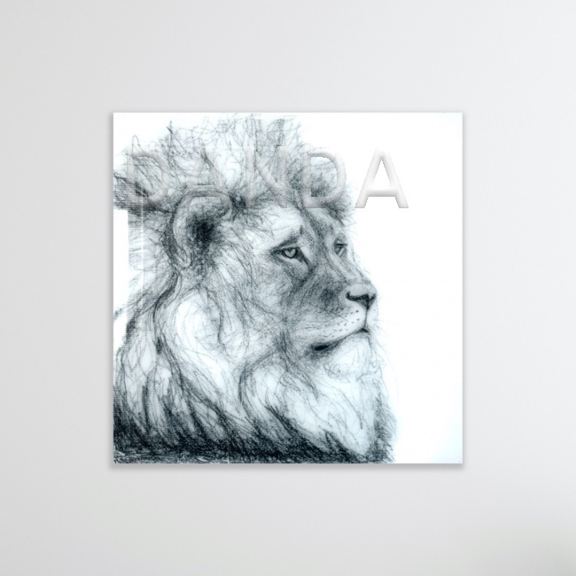 Alexandra Hesselmann Shop - Löwe 40 x 40 cm