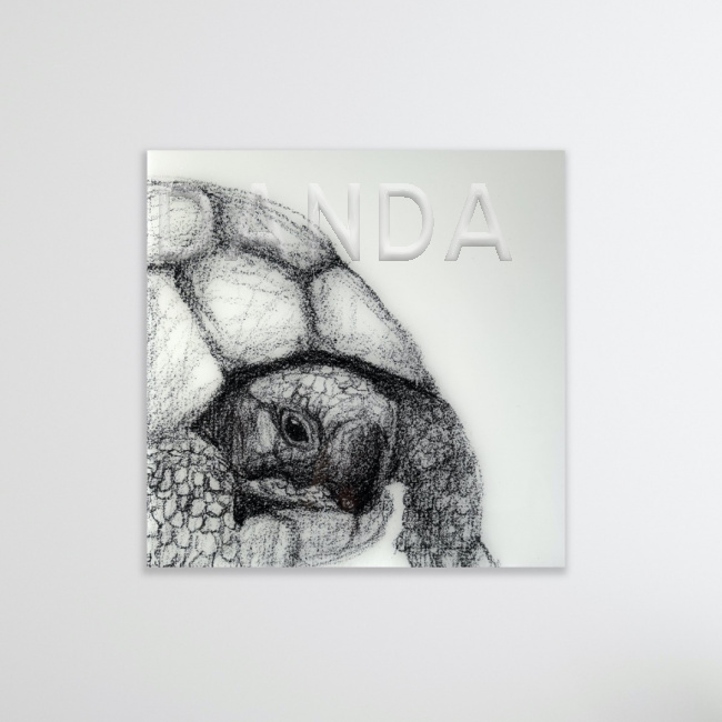 Alexandra Hesselmann Shop - Schildkröte 40 x 40 cm