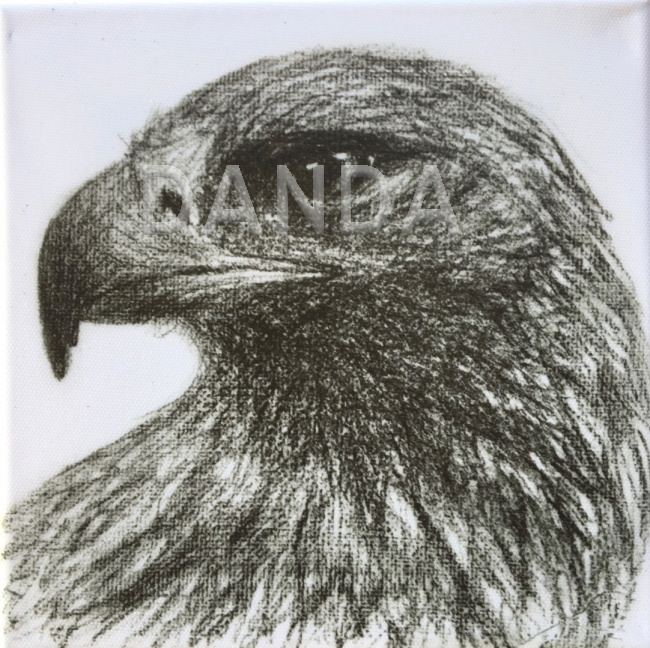 Alexandra Hesselmann Shop - Adler 20 x 20 cm