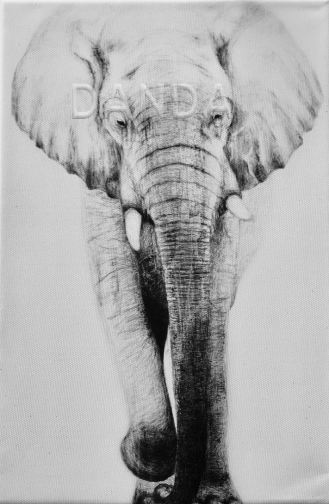 Alexandra Hesselmann Shop - stiller Elefant 20 x 30 cm