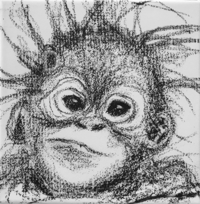 Alexandra Hesselmann Shop - frecher Orangutan 20 x 20 cm
