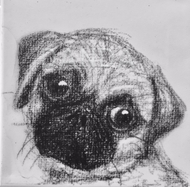 Alexandra Hesselmann Shop - Mops 20 x 20 cm
