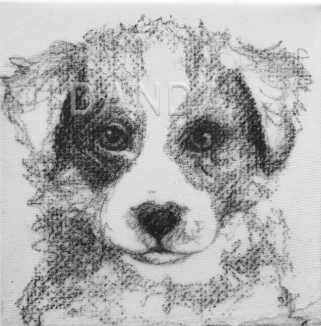 Alexandra Hesselmann Shop - Hund 20 x 20 cm