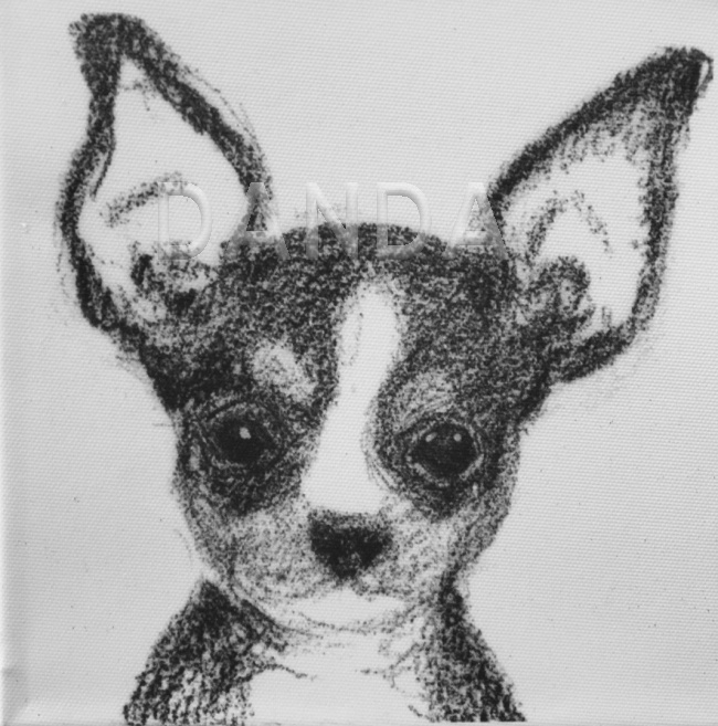 Alexandra Hesselmann Shop - Chihuahua 20 x 20 cm