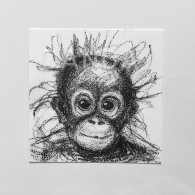 Alexandra Hesselmann Shop - Orangutanbaby