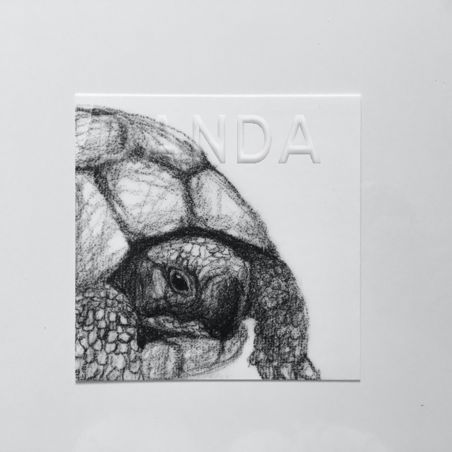 Alexandra Hesselmann Shop - Schildkröte