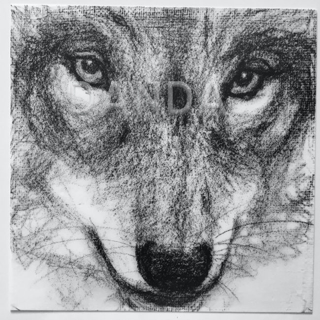 Alexandra Hesselmann Shop - Wolf