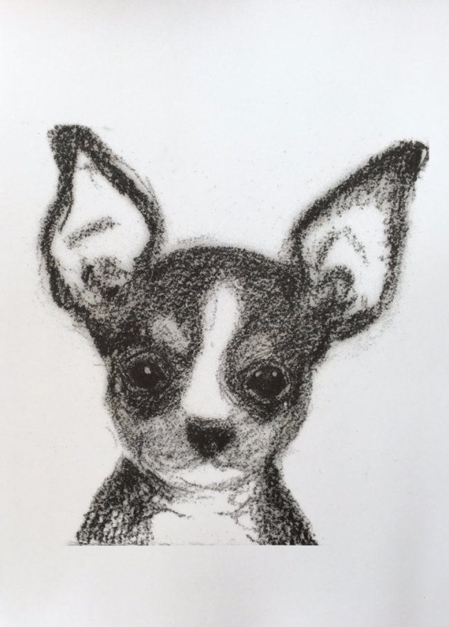 Alexandra Hesselmann Shop - Chihuahua