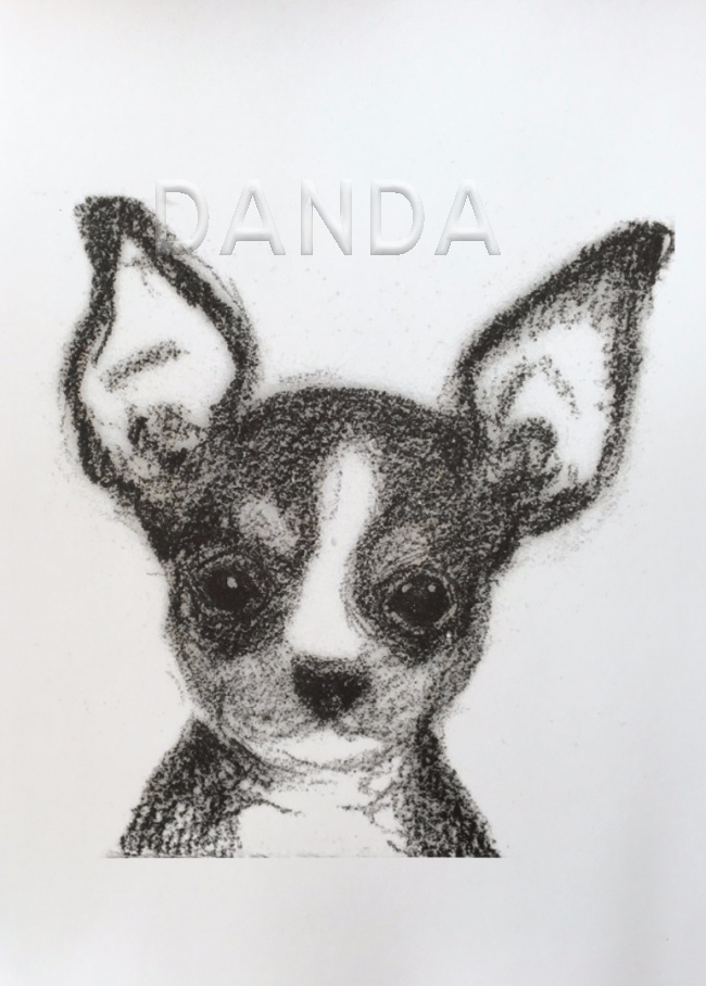 Alexandra Hesselmann Shop - Chihuahua