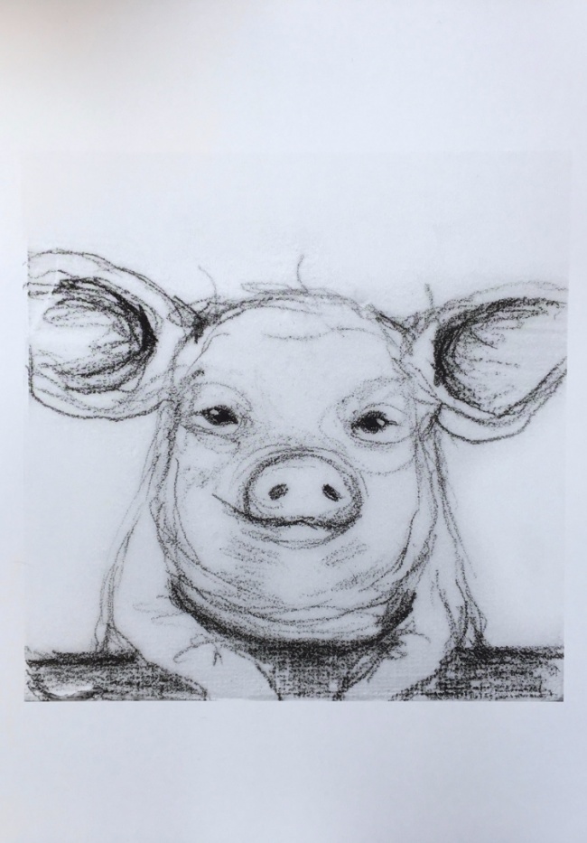 Alexandra Hesselmann Shop - fröhliches Schweinchen