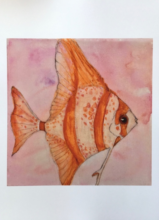Alexandra Hesselmann Shop - rosa Fisch