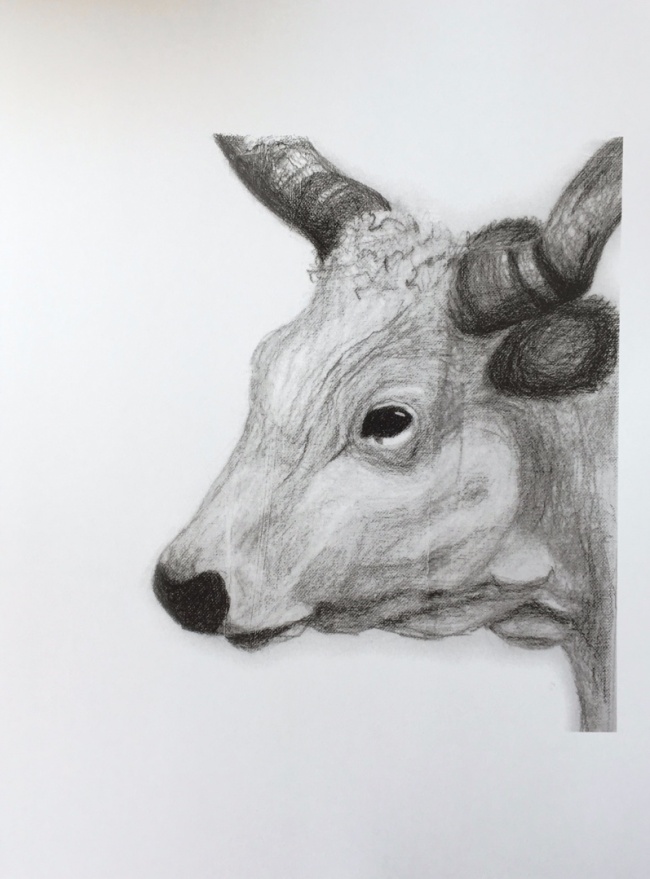 Alexandra Hesselmann Shop - weisser Stier