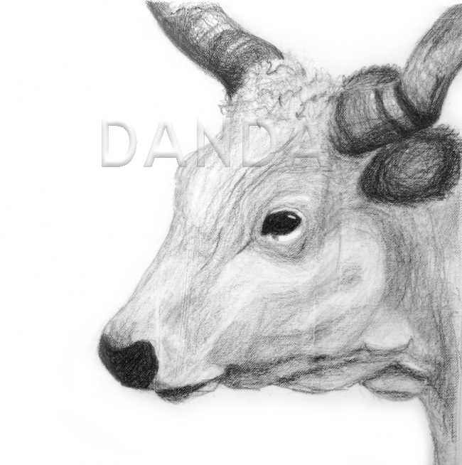 Alexandra Hesselmann Shop - Stier 20 x 20 cm